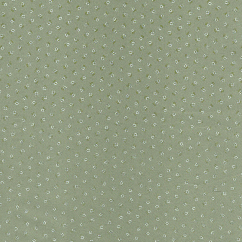 PAOLODR3217.570.1