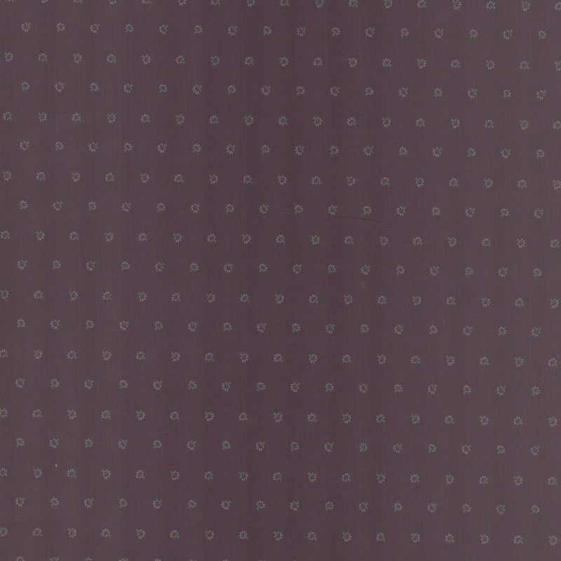 PAOLODR3259.79.3