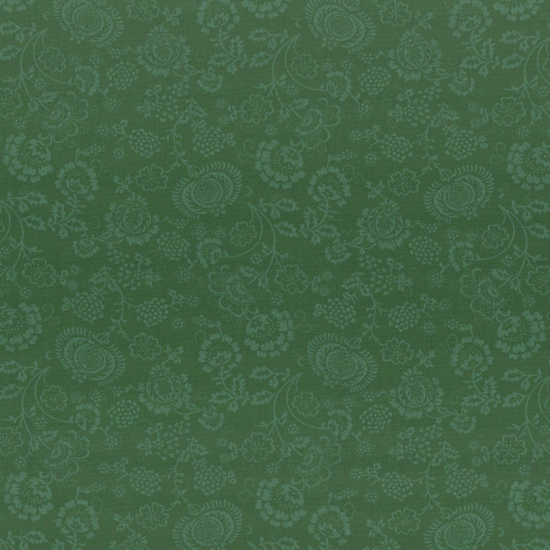 PAOLODR3050.656.50