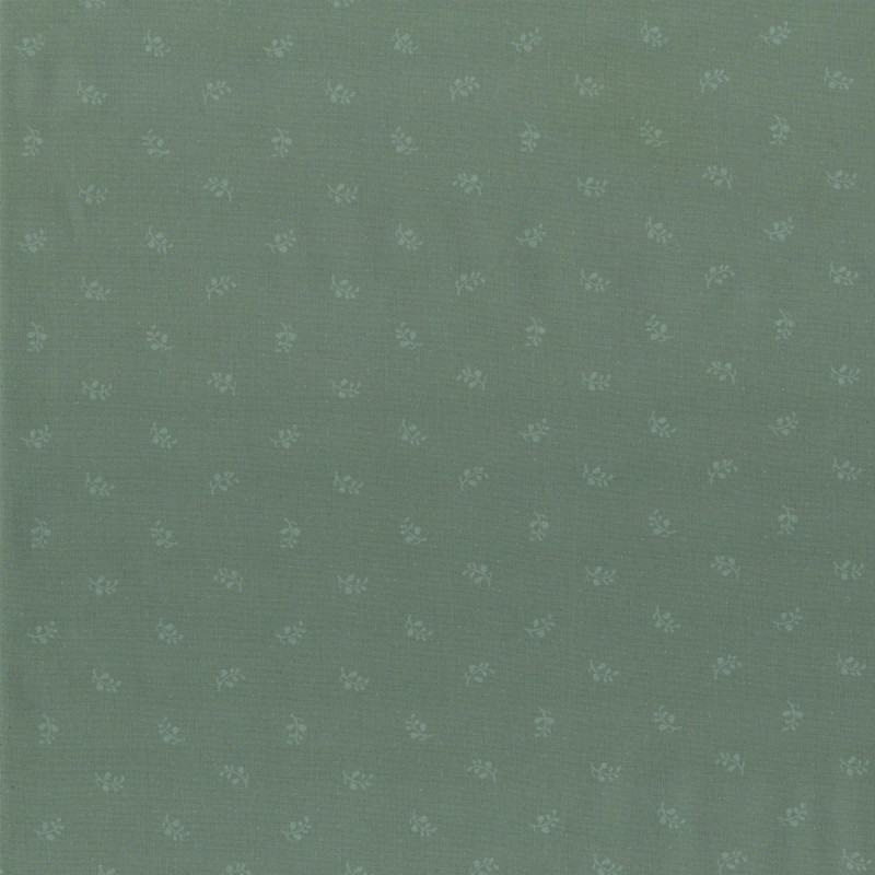 PAOLODR6005.36.50