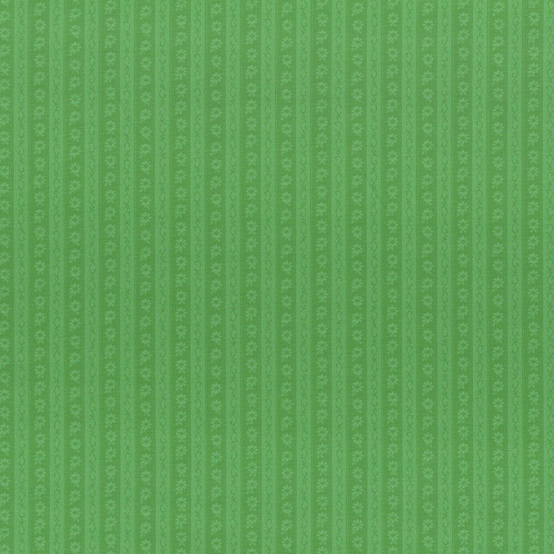 PAOLODR6159.06.50