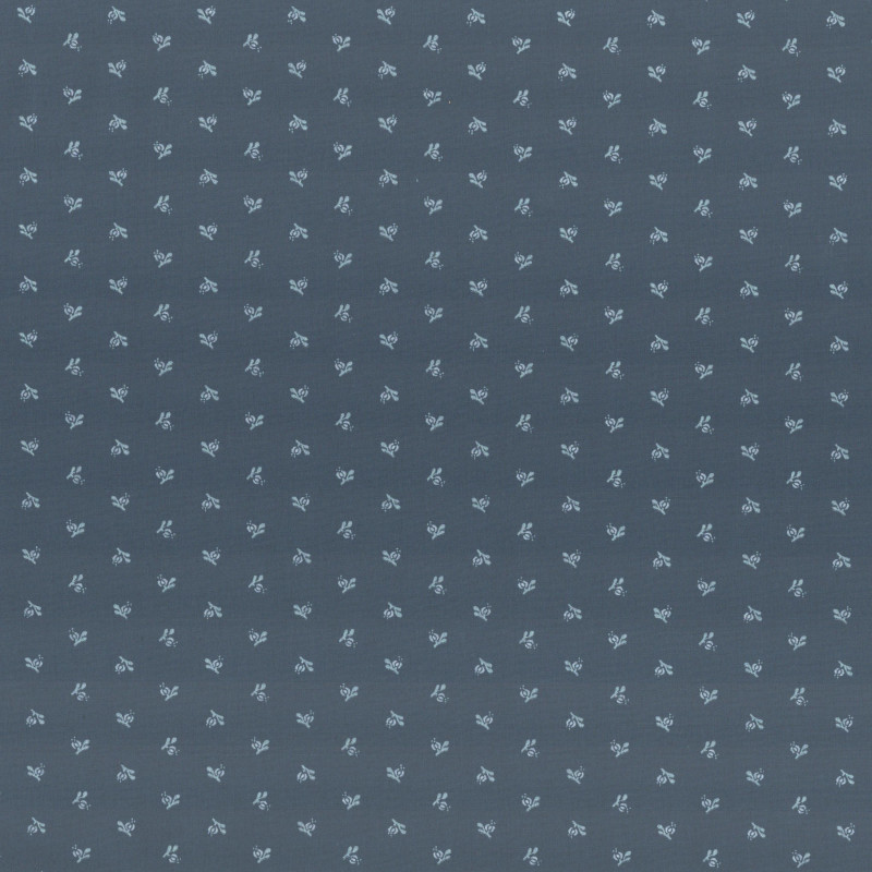 PAOLODR3040.212.1