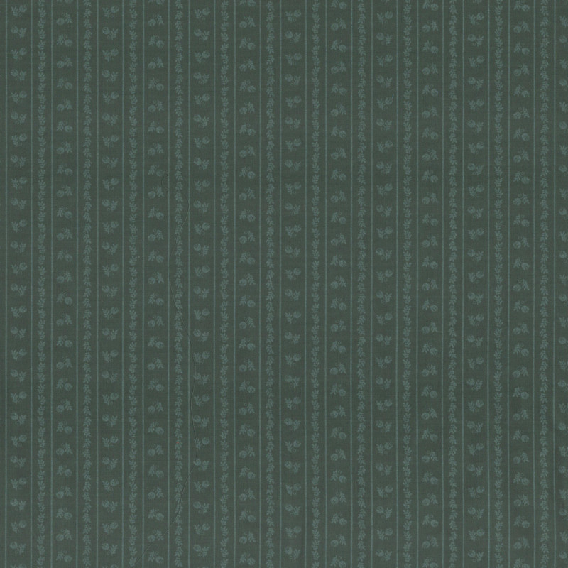 PAOLODR5216.240.50