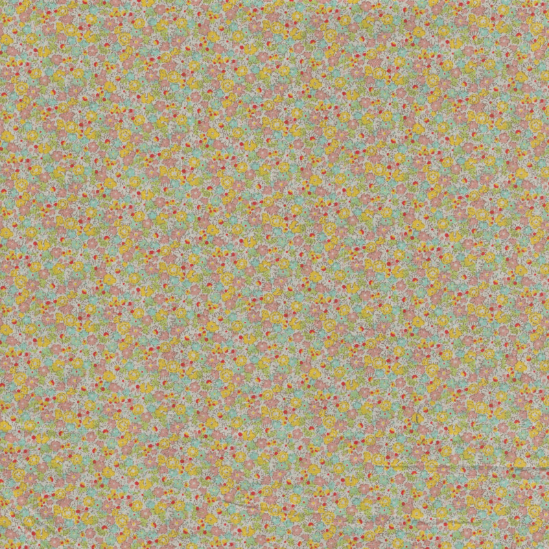 PAMDR1396.3
