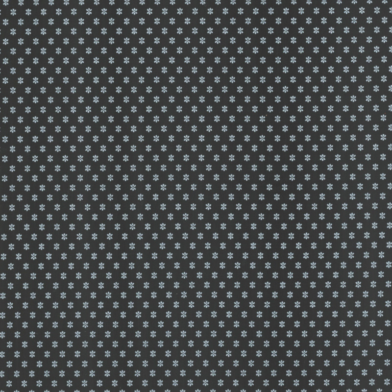 PAOLODR50700.210.100