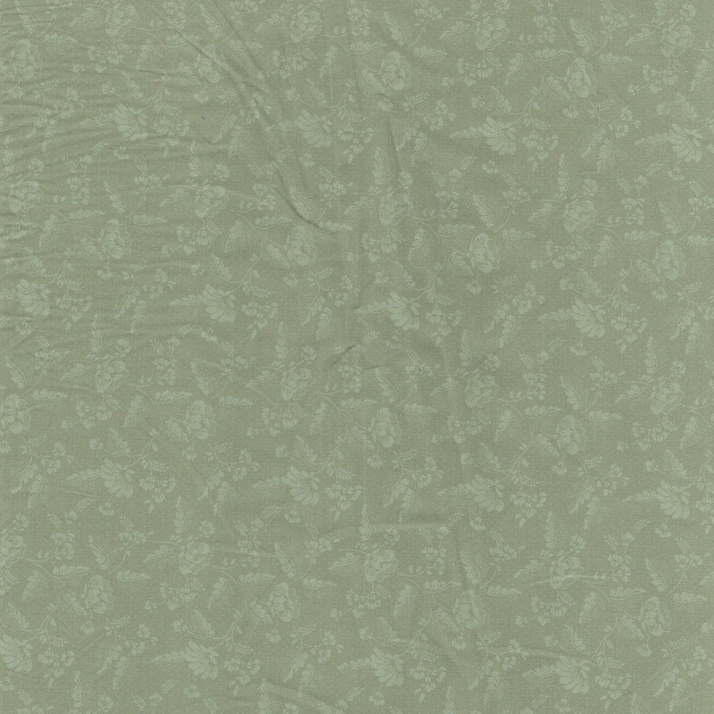 PAOLODR3132.570.50