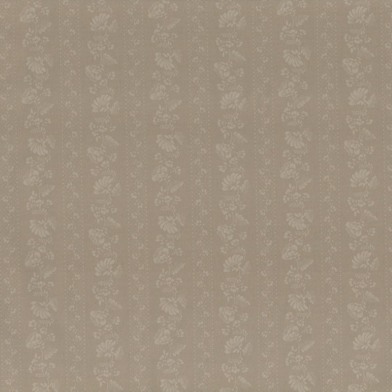 PAOLODR3157.07.50