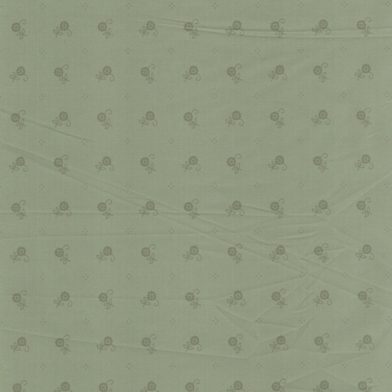 PAOLODR3208.570.1