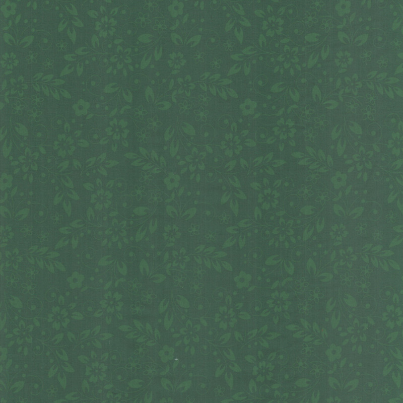 PAOLODR3238.231.5