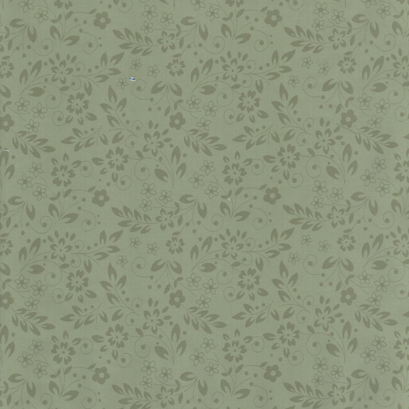 PAOLODR3238.570.3