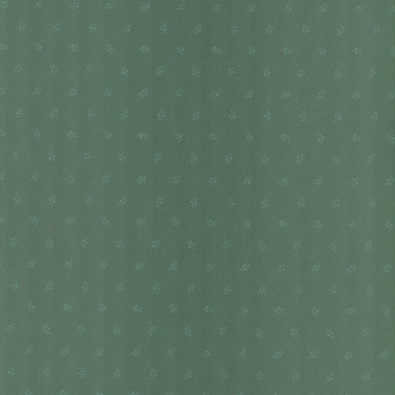 PAOLODR6005.231.50