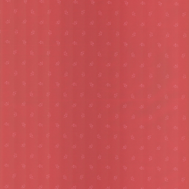 PAOLODR6005.315.50