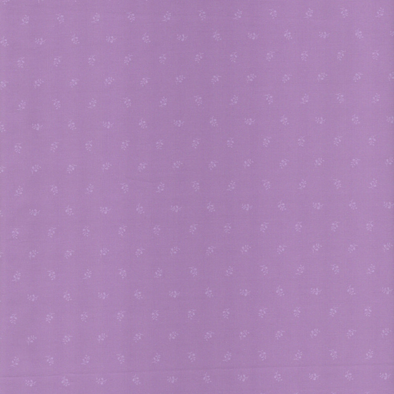 PAOLODR6005.693.50