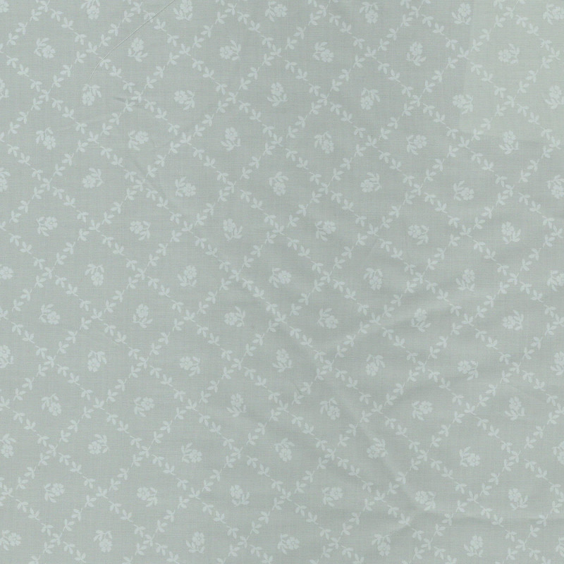 PAOLODR6121.17.50
