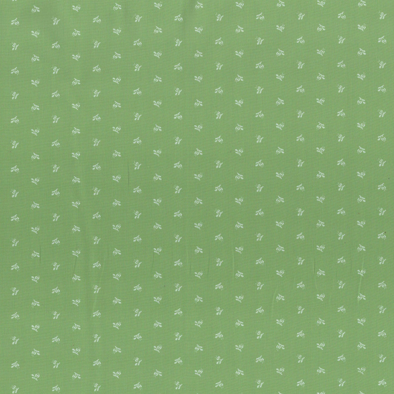 PAOLODR3040.1406.100
