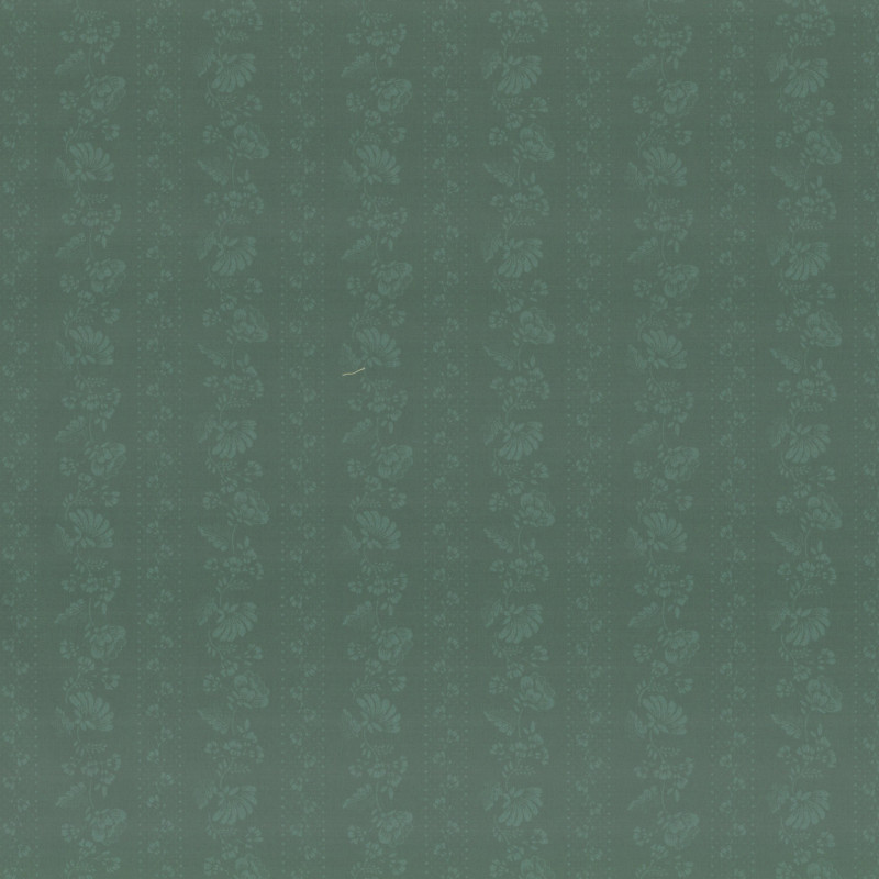 PAOLODR3157.231.50