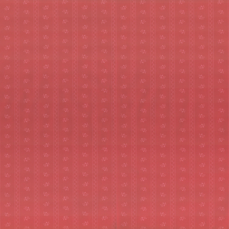 PAOLODR6001.315.50