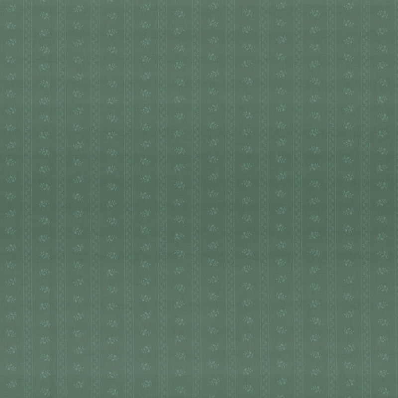 PAOLODR6001.231.50