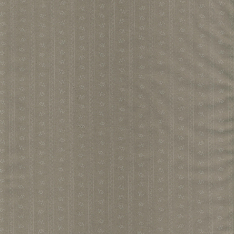PAOLODR6001.37.50