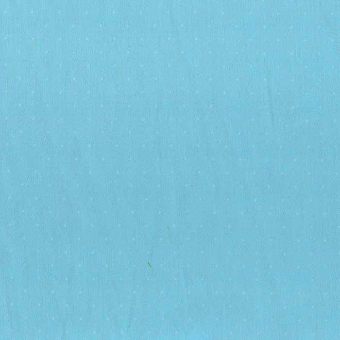 SALLYDR090.490.50