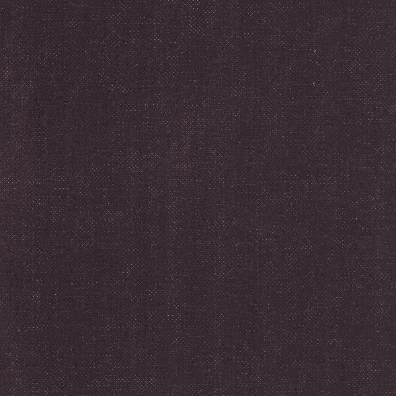 PADUA26124.1