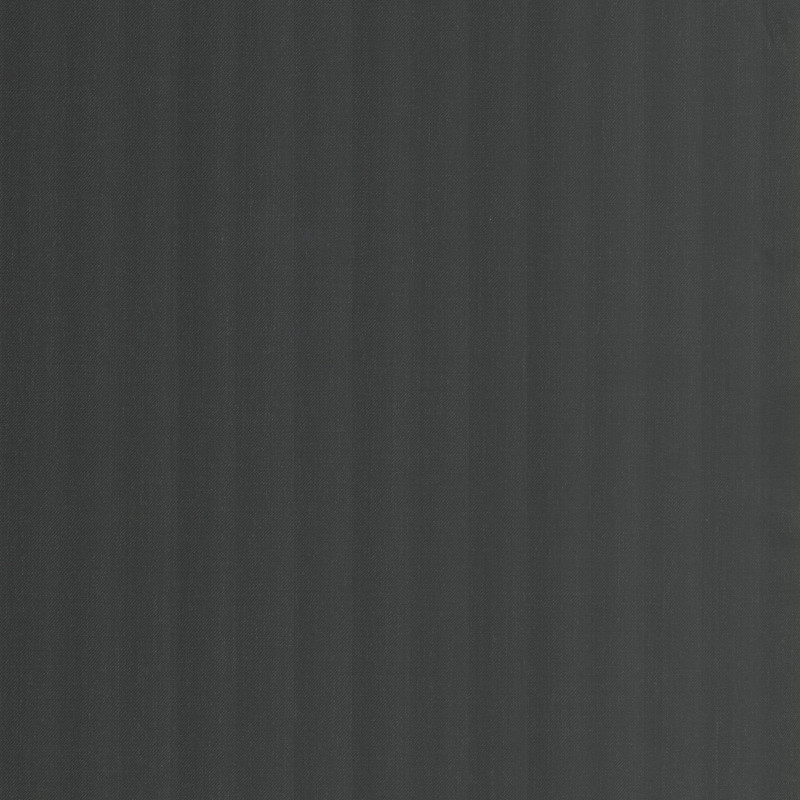 RENE5.1