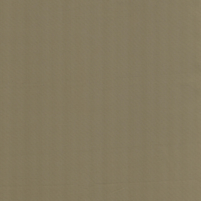 LUGANOUNI.3556