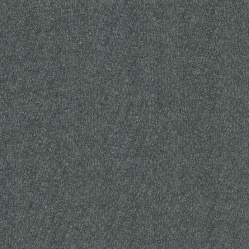 PADUA259055.8