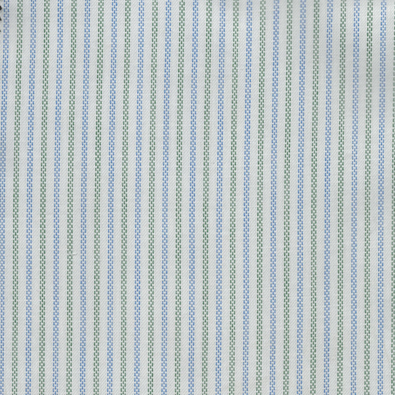 LECH5580.2